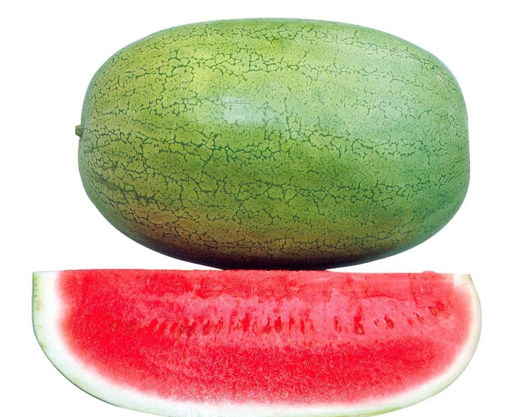 هندوانه سفید